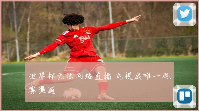 世界杯无法网络直播 电视成唯一观赛渠道