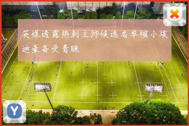 英媒透露热刺主帅候选名单缩小埃迪豪备受青睐
