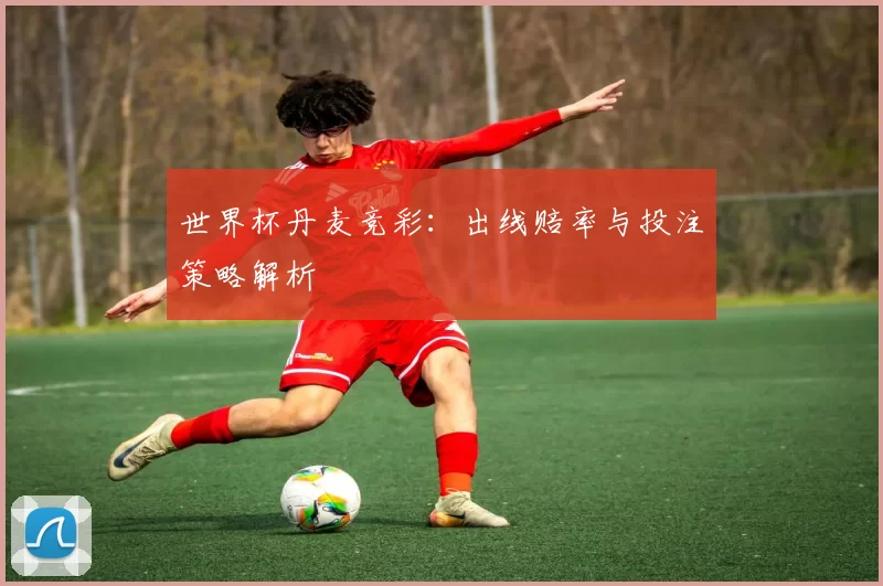 世界杯丹麦竞彩:出线赔率与投注策略解析