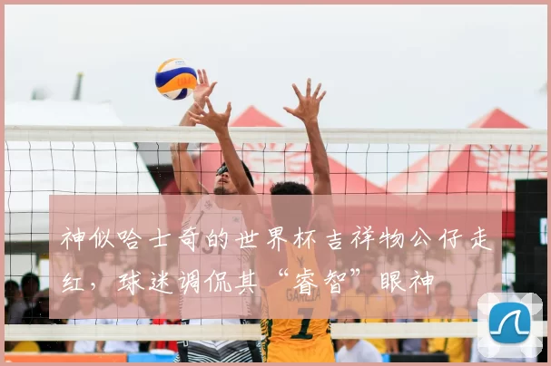 神似哈士奇的世界杯吉祥物公仔走红，球迷调侃其“睿智”眼神