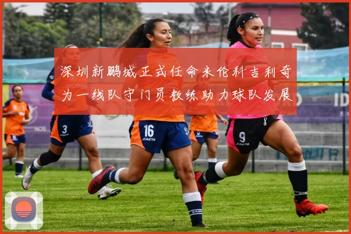 深圳新鹏城正式任命米伦科吉利奇为一线队守门员教练助力球队发展