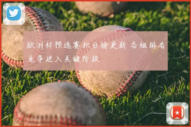 欧洲杯预选赛积分榜更新 各组排名竞争进入关键阶段