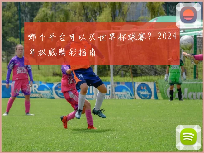 哪个平台可以买世界杯球赛？2024年权威购彩指南