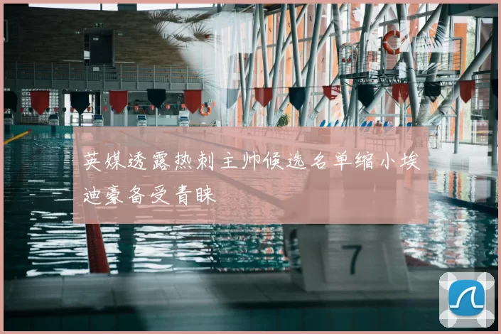 英媒透露热刺主帅候选名单缩小埃迪豪备受青睐
