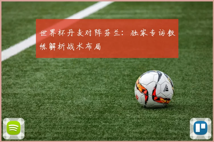 世界杯丹麦对阵芬兰:独家专访教练解析战术布局