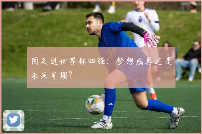 国足进世界杯四强：梦想成真还是未来可期？