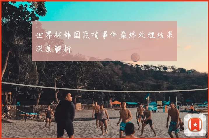 世界杯韩国黑哨事件最终处理结果深度解析