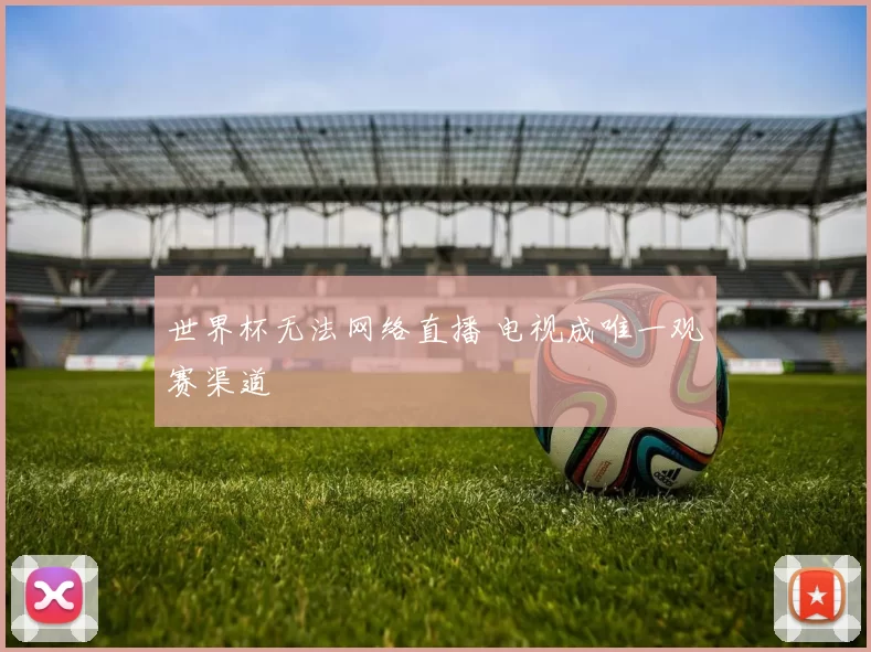 世界杯无法网络直播 电视成唯一观赛渠道