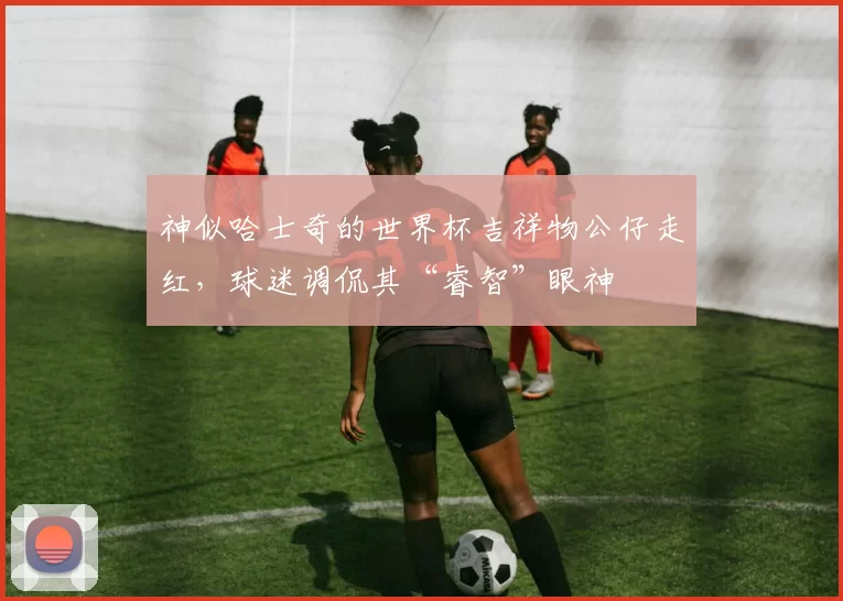 神似哈士奇的世界杯吉祥物公仔走红,球迷调侃其“睿智”眼神