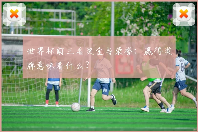世界杯前三名奖金与荣誉:赢得奖牌意味着什么?