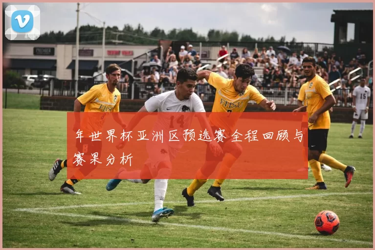 年世界杯亚洲区预选赛全程回顾与赛果分析