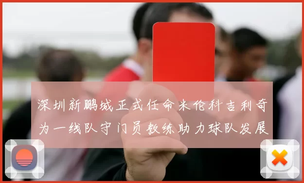 深圳新鹏城正式任命米伦科吉利奇为一线队守门员教练助力球队发展