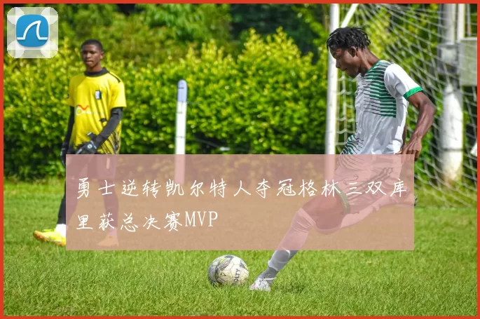 勇士逆转凯尔特人夺冠格林三双库里获总决赛MVP