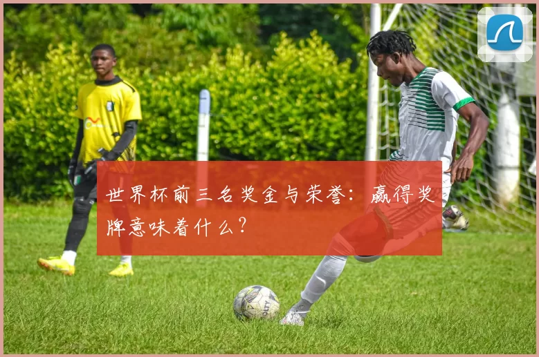 世界杯前三名奖金与荣誉：赢得奖牌意味着什么？