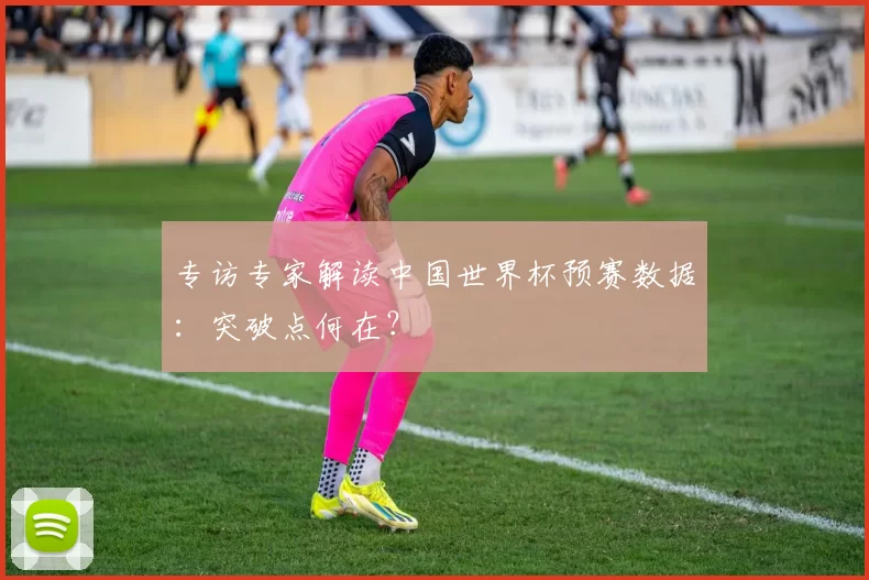 专访专家解读中国世界杯预赛数据:突破点何在?